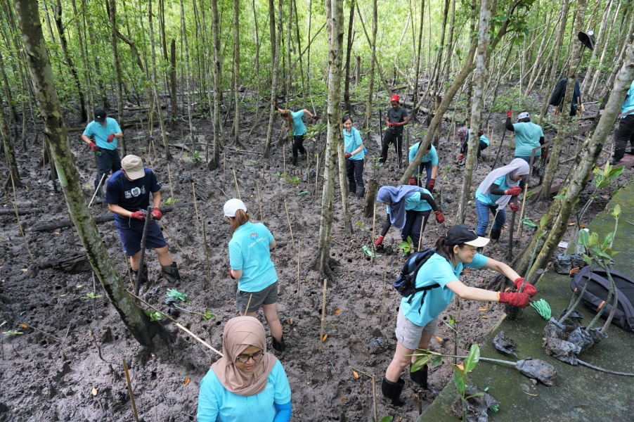 tree planting