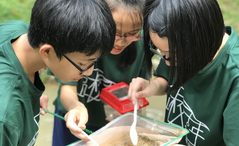 Students identified the micro-organism caught in the river
