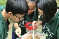 Students identified the micro-organism caught in the river